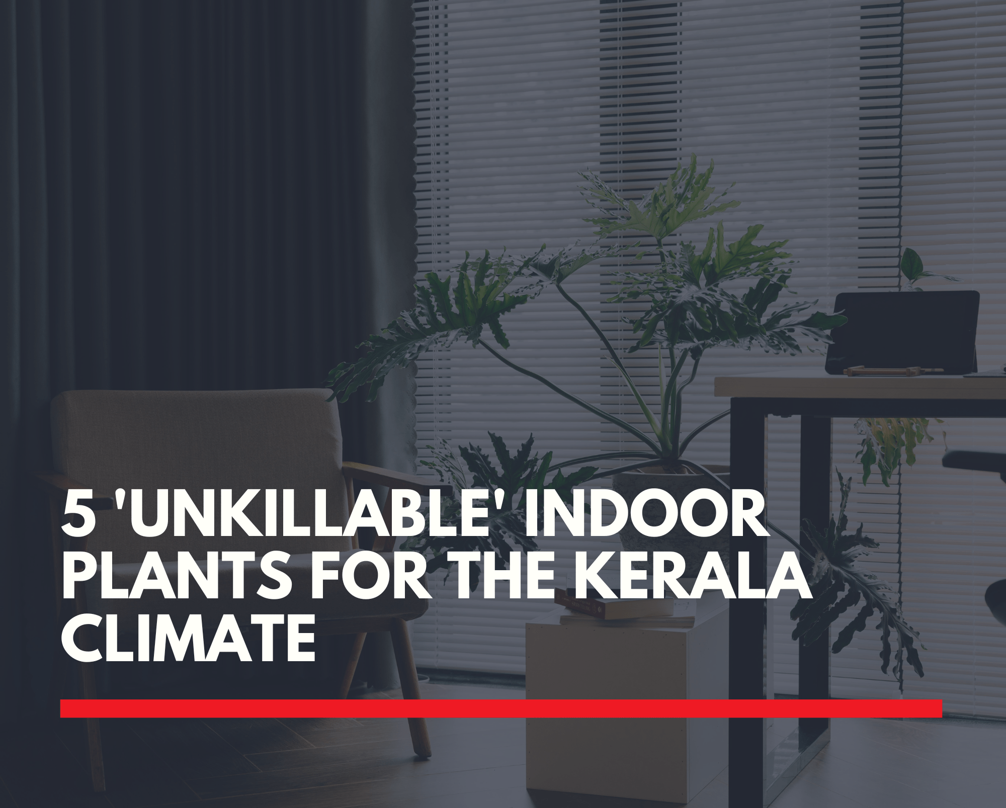 Interier designers in kochi